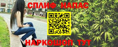 тгк Камышлов