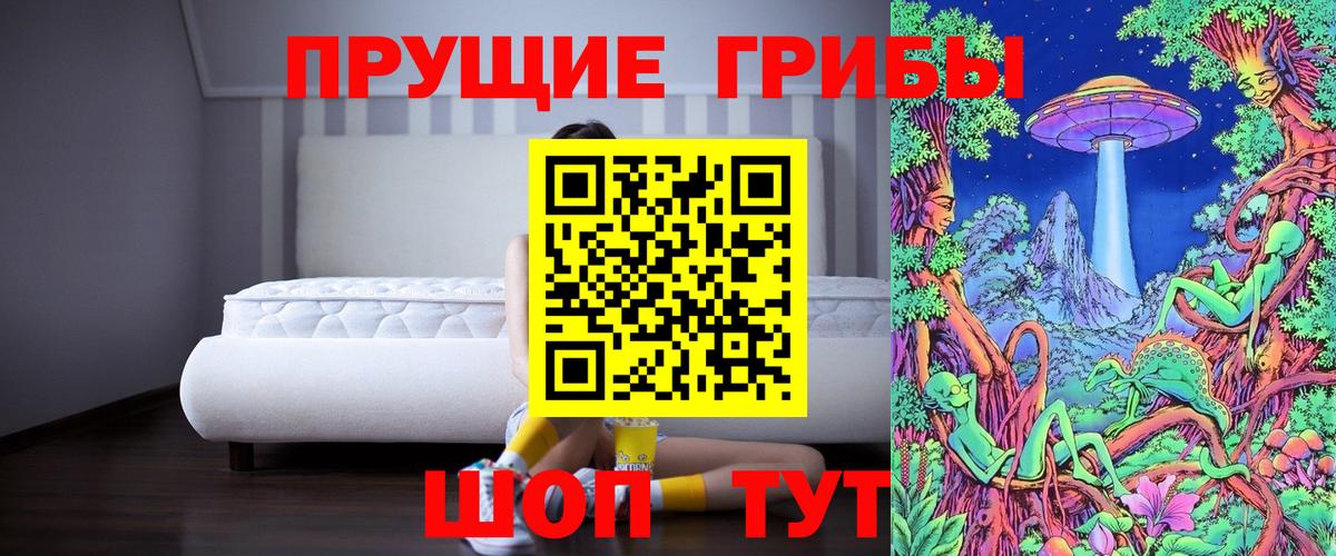 Псилоцибиновые грибы прущие грибы  Вход с VPN  Галлюциногенные грибы Psilocybe  Хасавюрт 