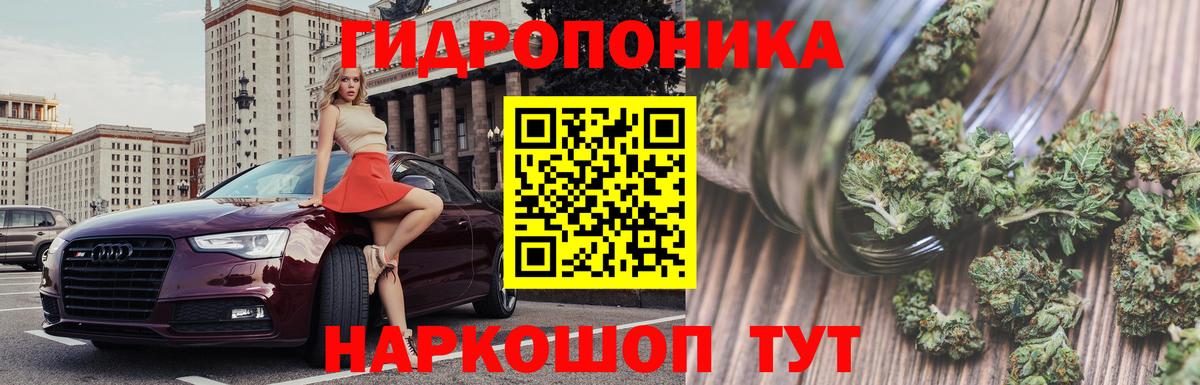 Конопля Amnesia Хасавюрт